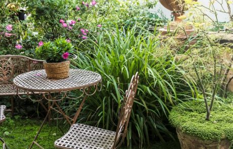 השפעת אדריכלות נוף ועיצוב גינות על איכות החיים האורבנית