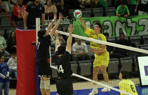 כפר סבא חוגגת: גלילי הביאה את האליפות הביתה