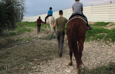 מעון רמת חיפה: נוף מדהים ואוויר נקי לנפש