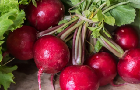 היתרונות של הזמנת ירקות הביתה