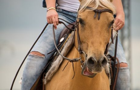 רכיבה על סוסים במרכז – כי חייבים להתנסות במשהו חדש