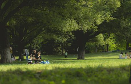 חוגגים את ל"ג בעומר מחוץ למדורה – קמפינג עירוני למשפחות בפארק כפר סבא