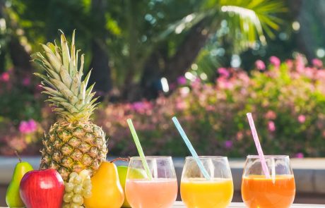 מאכלים פרוביוטיים וטיפול טבעי במעי רגיז – מה חשוב לדעת